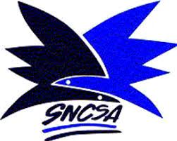 Logo SNCSA